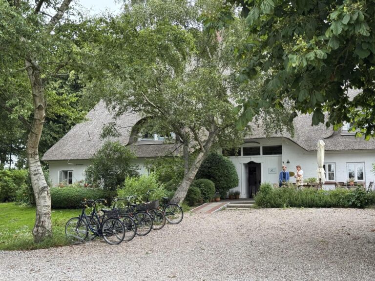 Sommerfest im Grünen